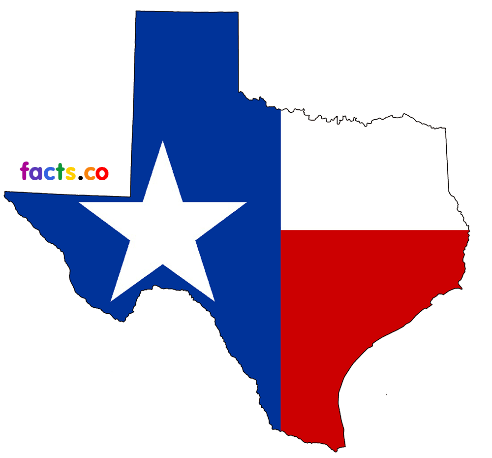 Texas State Map with cities - download blank outline map of Texas