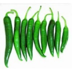 Green Chilli in Chennai - Suppliers, Wholesale Prices & Dealers in ...