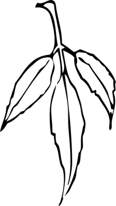 Black And White Leaves Clipart