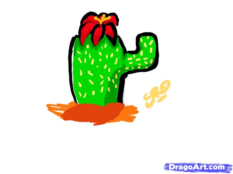 How to Draw a Flowering Cactus, Step by Step, Dragons, Draw a ...