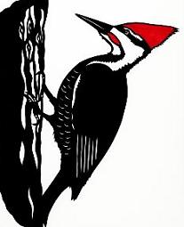 Woodpecker Clipart - Free Clipart Images