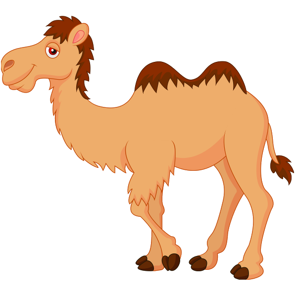 Camel clip art