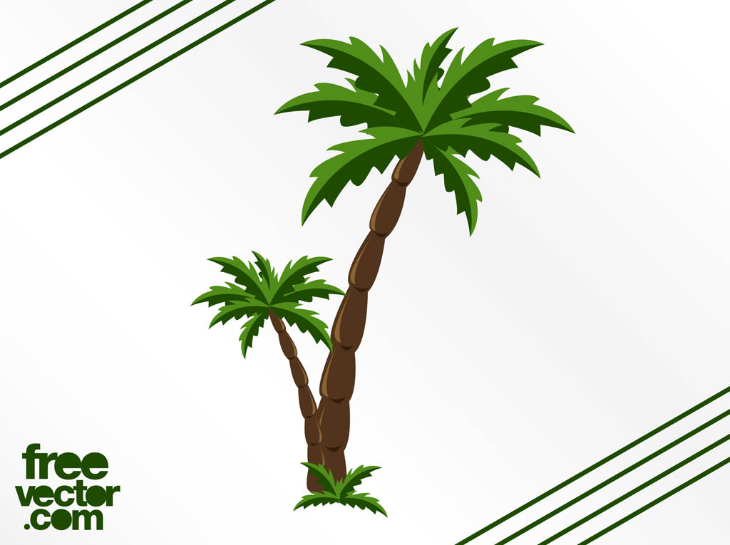 13 Palmetto Tree Vector Art Images - Palm Tree Vector Graphic Free ...