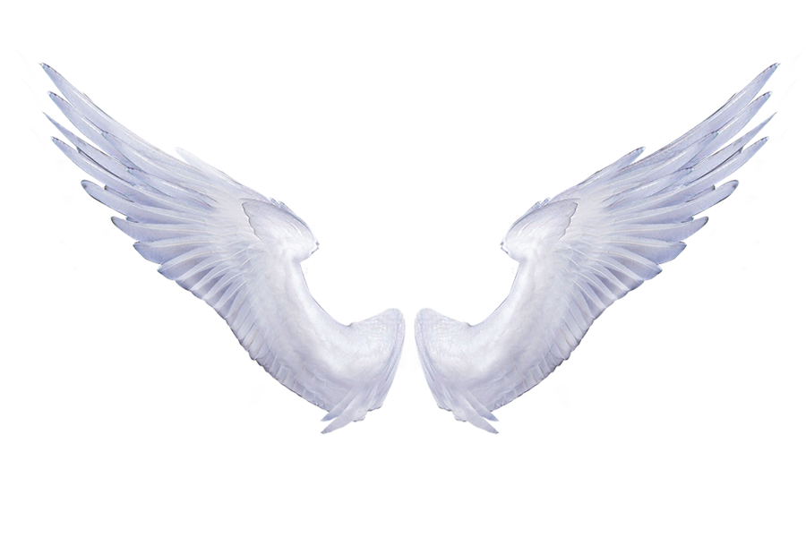 Angel Wings Png | Free Download Clip Art | Free Clip Art | on ...