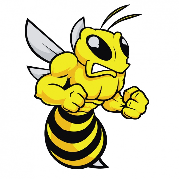 Angry bee design Vector | Free Download