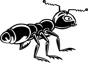 Black Shiny Ant Clip Art - vector clip art online ...