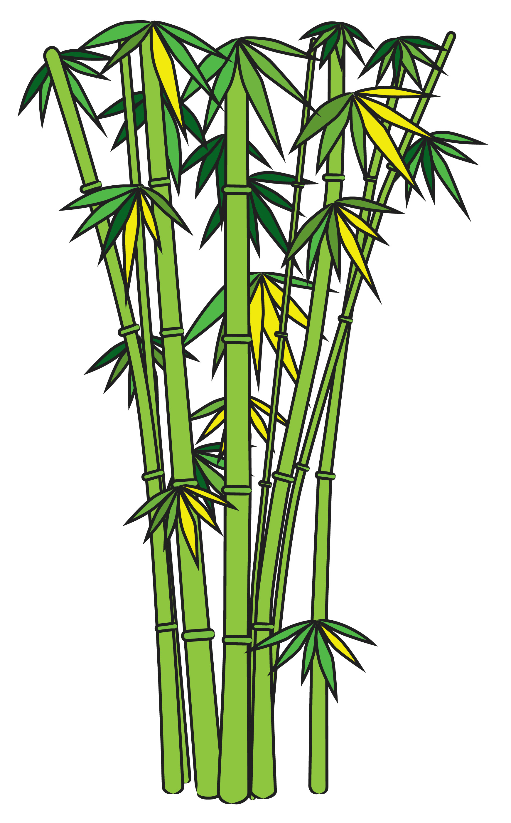bamboo clipart pictures