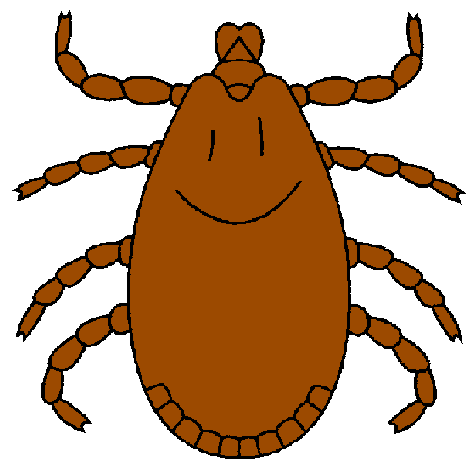 Tick cliparts