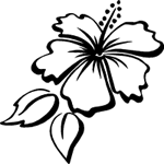 Hibiscus Flower Stickers & Decals - Car Stickers