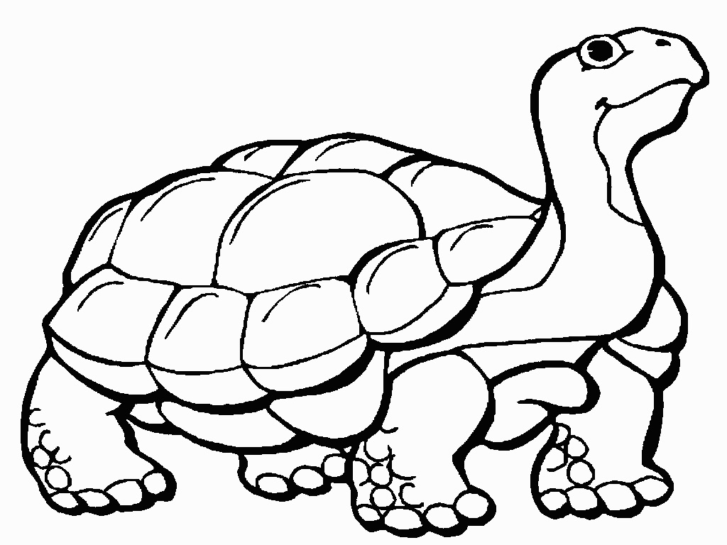 Kids coloring pages drawing |coloring pages for adults, coloring ...