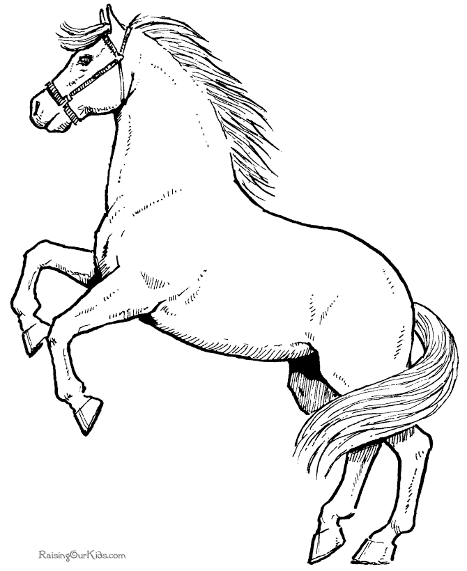 Horse Coloring Pages - Dr. Odd