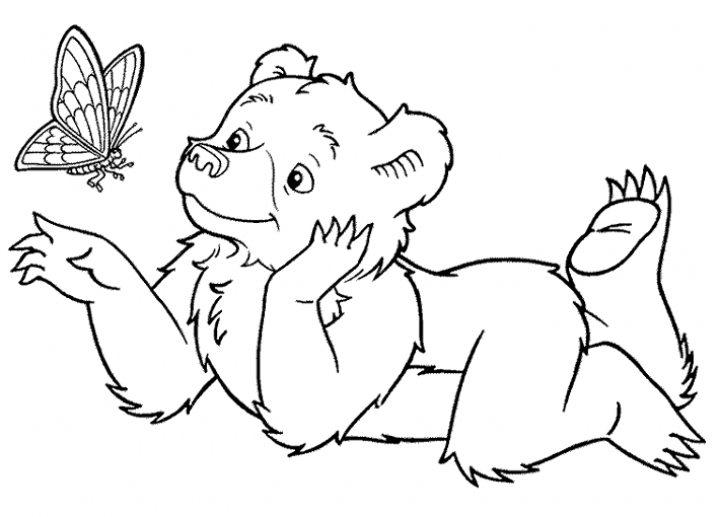 Page Teddy Bear Coloring And Butterfly | Hagio Graphic