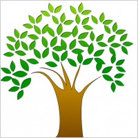 Oak Tree Drawing - ClipArt Best