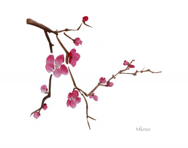 Free Cherry Blossom Clip Art