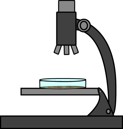 Microscope clipart for kids