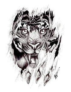 Tattoo Ideas | Tiger Tattoo Design, Tribal Wolf Tattoos …