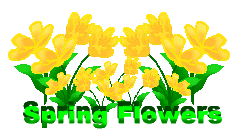 Free Spring Clip Art Borders - Free Clipart Images