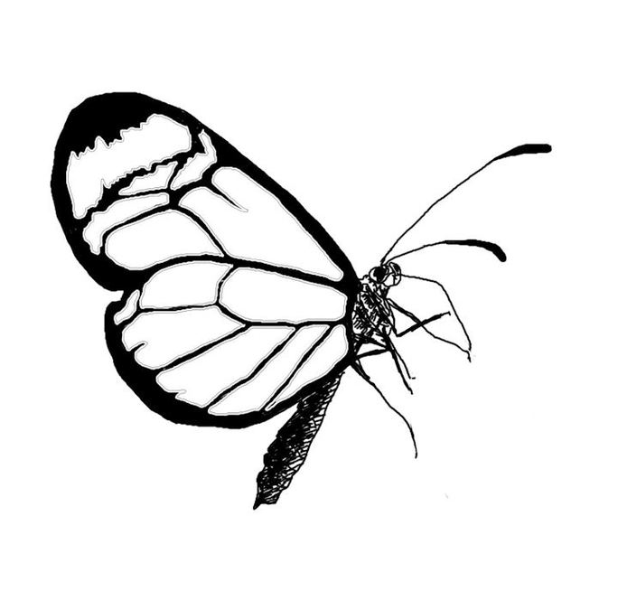 Flower With Butterfly Drawings Clipart - Free to use Clip Art Resource
