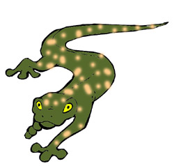 Salamander Clipart - ClipArt Best