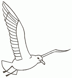 SEAGULL DRAWING PATTERN | Patterns For Pinterest