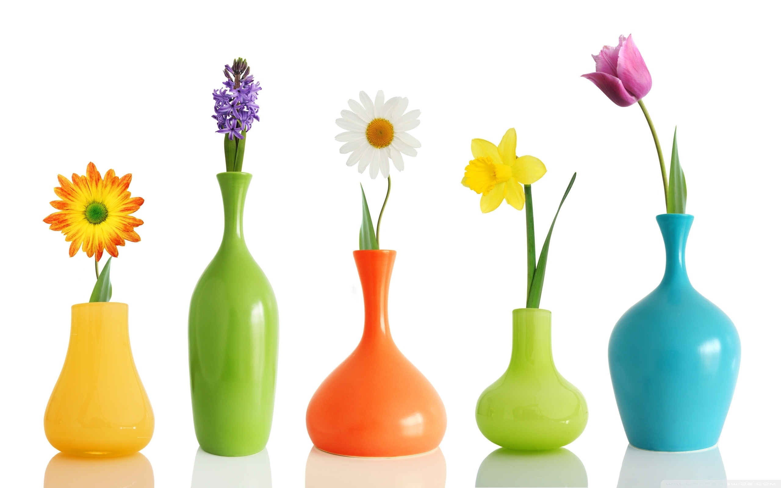 Colorul Flower Vases HD desktop wallpaper : High Definition ...