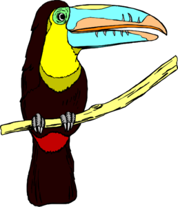 Toucan | High Quality Clip Art