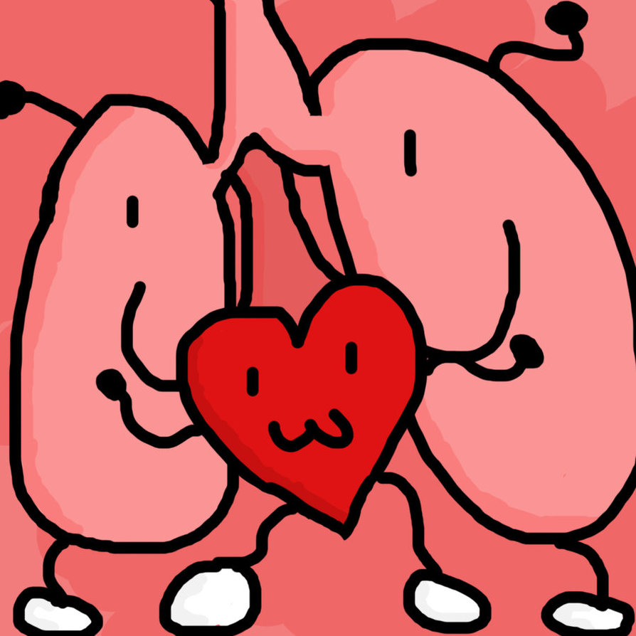 Lungs and Heart by elegwa on DeviantArt