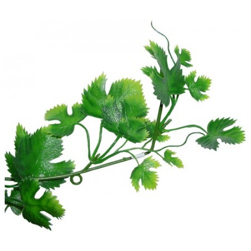 Lucky Reptile Jungle Grape Leaf Vine - The Purple Pet Centre in ...