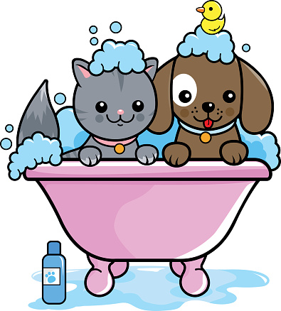 Pet Grooming Salon Clip Art, Vector Images & Illustrations