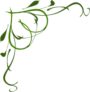 Vines clipart