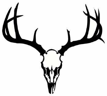 Buck Skull Drawing - ClipArt Best