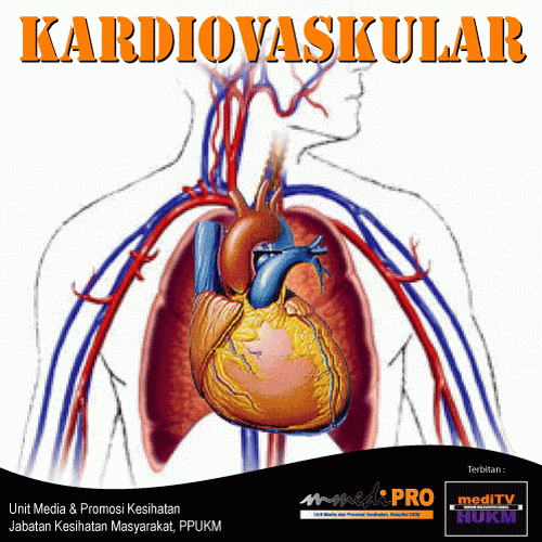 Sistem Kardiovaskuler | ariekasri