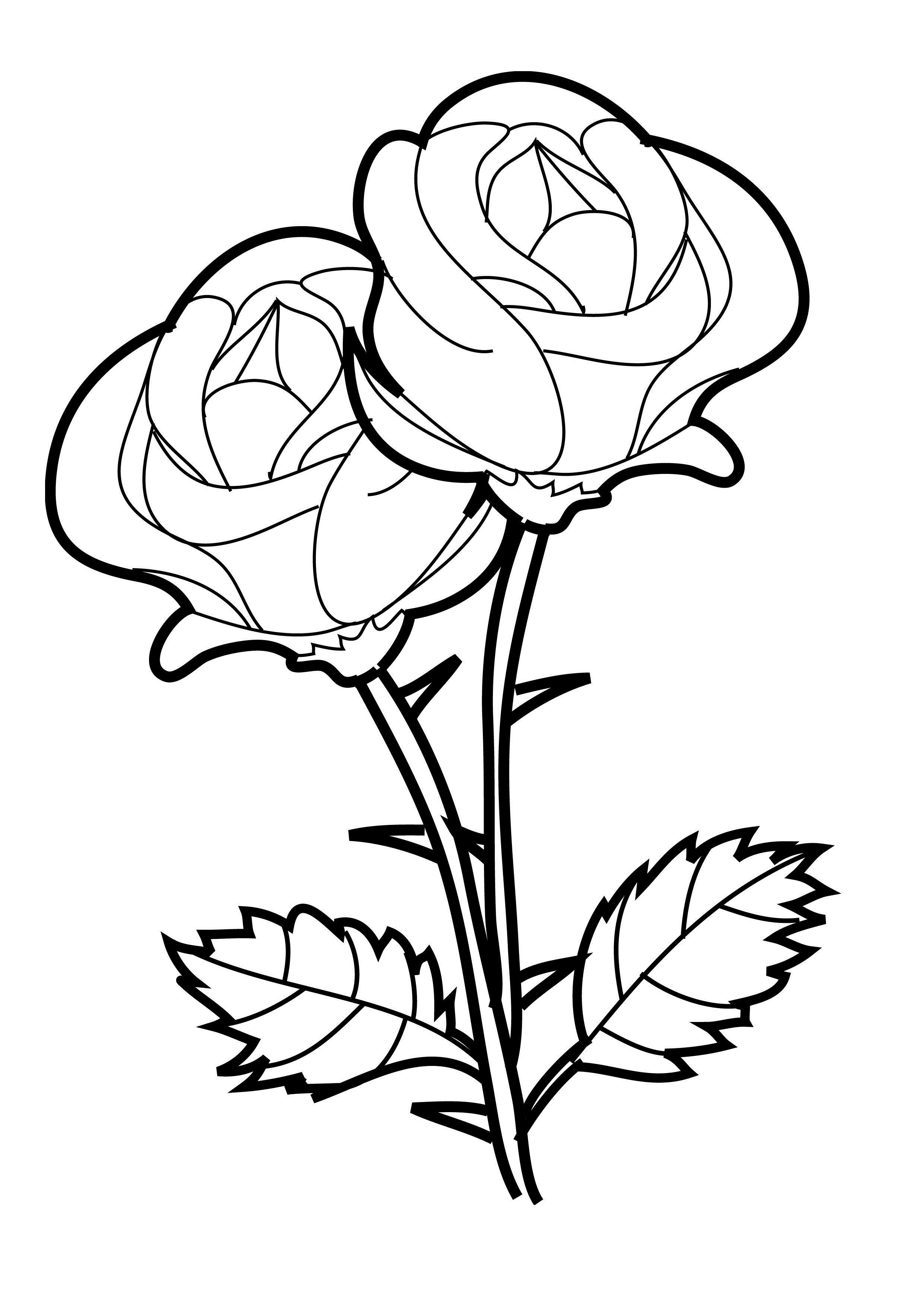 204 Cute Vine Coloring Pages for Kindergarten