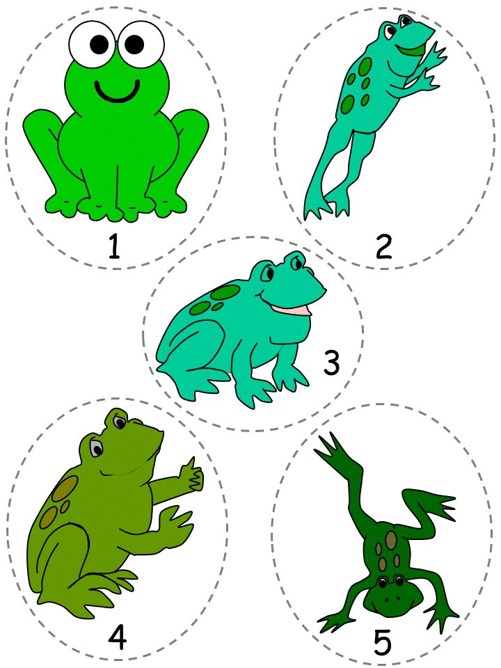 1000+ images about Frogs | Life cycles, Student ...