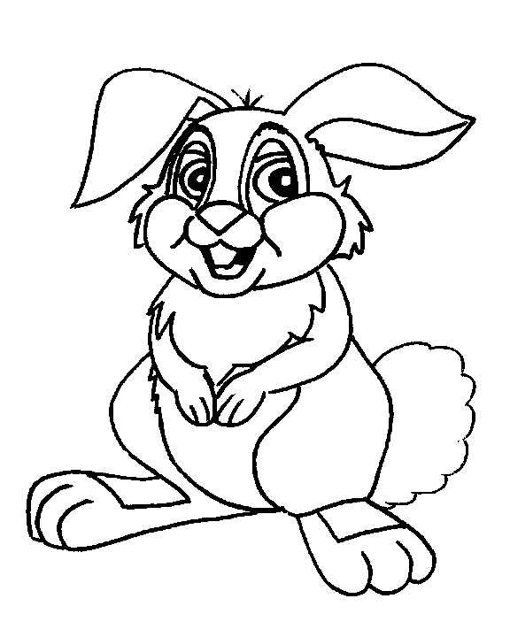 Rabbit | Coloring