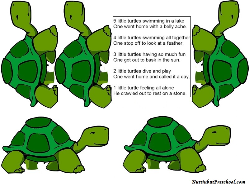 1000+ images about Turtle's | Sea turtle crafts ...