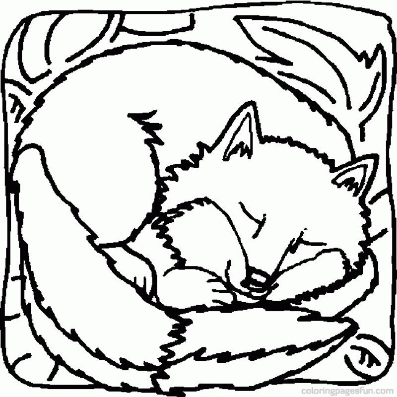 Coloring Pages Of Foxes - AZ Coloring Pages