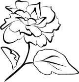 Marigold Line Drawing - ClipArt Best