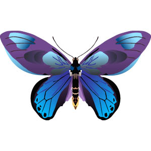 Free butterfly clipart pictures