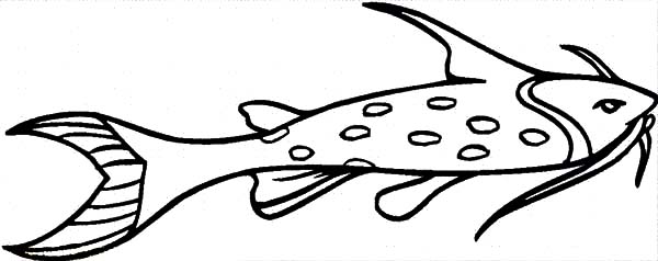 Catfish Coloring Pages | Best Place to Color