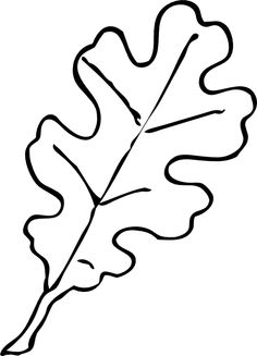 Oak Tree Leaf Template - ClipArt Best