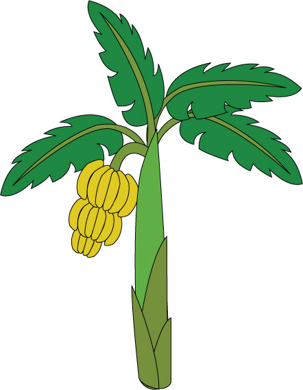 Banana tree leaf outline clipart - ClipartFox