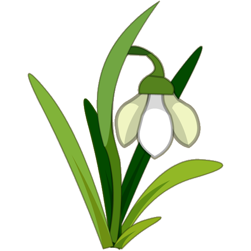 Snowdrop (plant) | Dofus | Fandom powered by Wikia