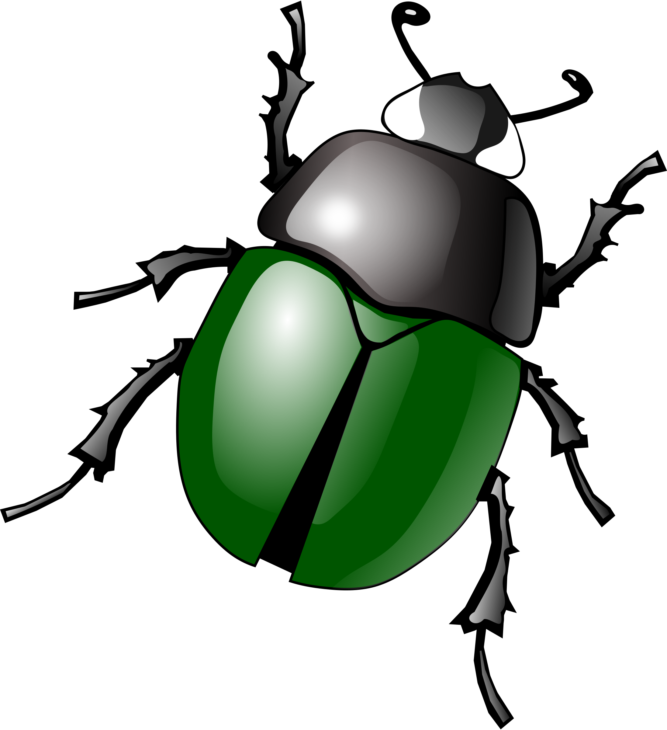 Clip Art Bugs ClipArt Best