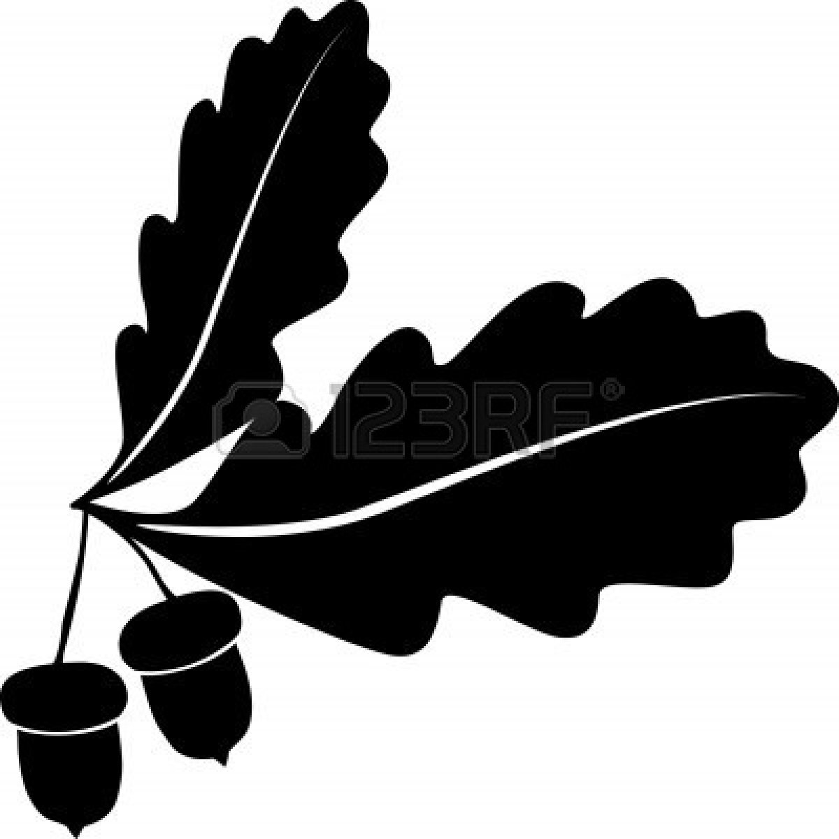 Oak tree leaf clipart