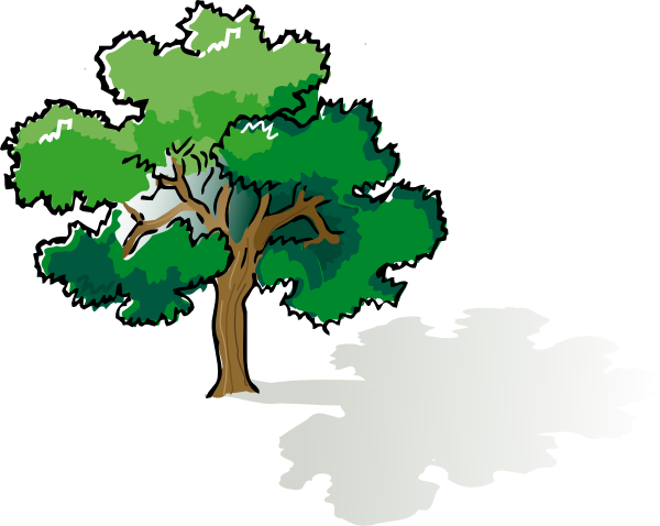 Oak Tree Graphic | Free Download Clip Art | Free Clip Art | on ...