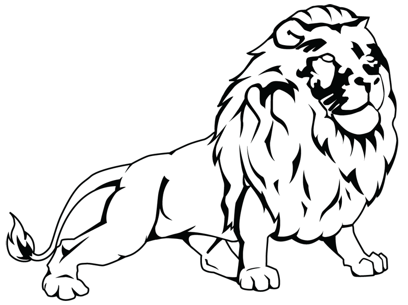 Lion Line Art | Free Download Clip Art | Free Clip Art | on ...