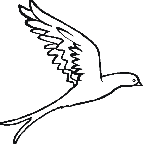 Line Drawings Of Birds In Flight Clipart - Free to use Clip Art ...