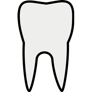Outline of tooth clipart