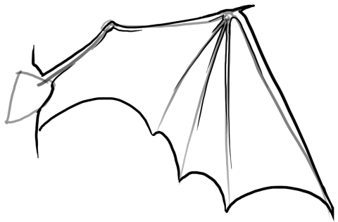 Sketched Wings - ClipArt Best